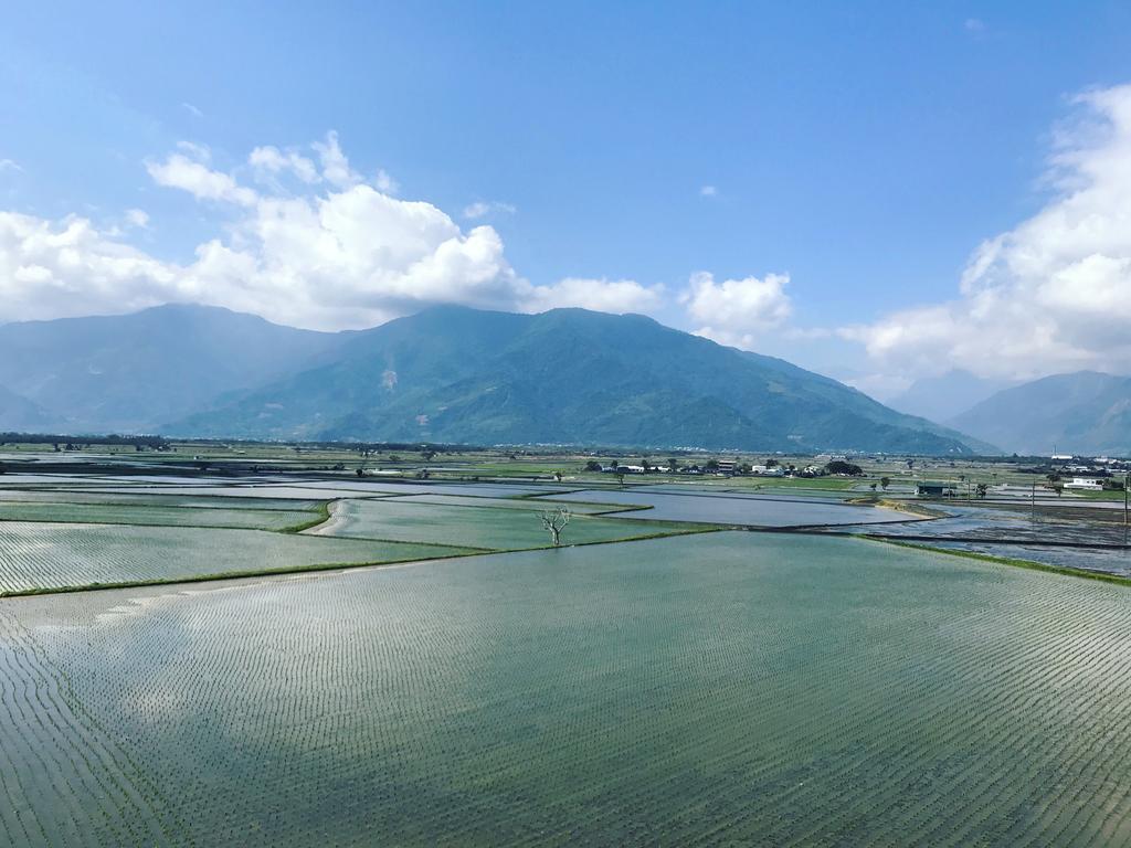 玉蟾園民宿 寵物友善 Yuchanyuan B&B Chishang Dış mekan fotoğraf