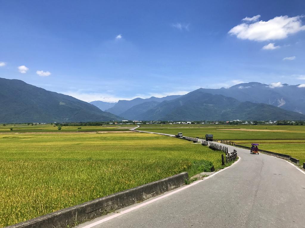 玉蟾園民宿 寵物友善 Yuchanyuan B&B Chishang Dış mekan fotoğraf