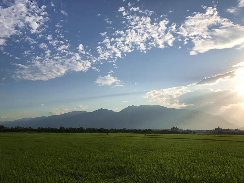 玉蟾園民宿 寵物友善 Yuchanyuan B&B Chishang Dış mekan fotoğraf